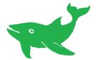 lovelygreenwhale.org